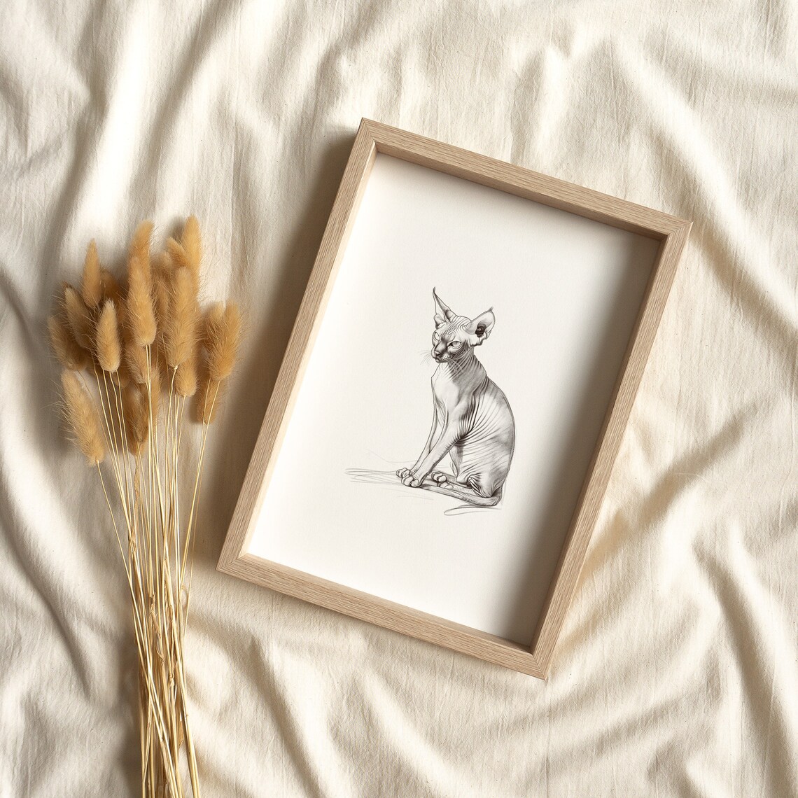 Sphynx Cat Sitting Pencil Sketch Hairless Cat Portrait Minimalist Art Print
