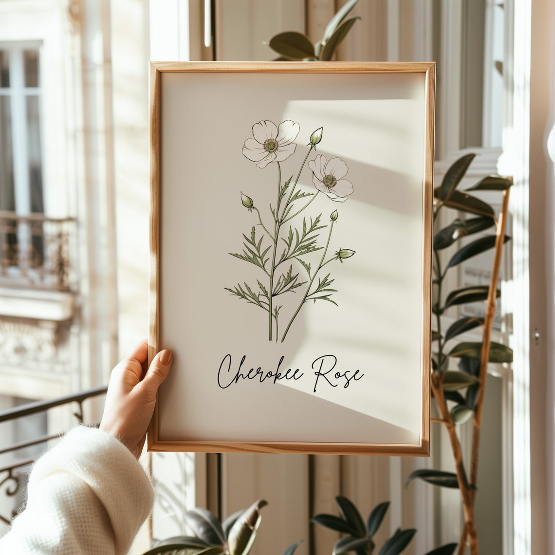 Cherokee Rose Botanical Line Art Minimalist White Flower Wall Print