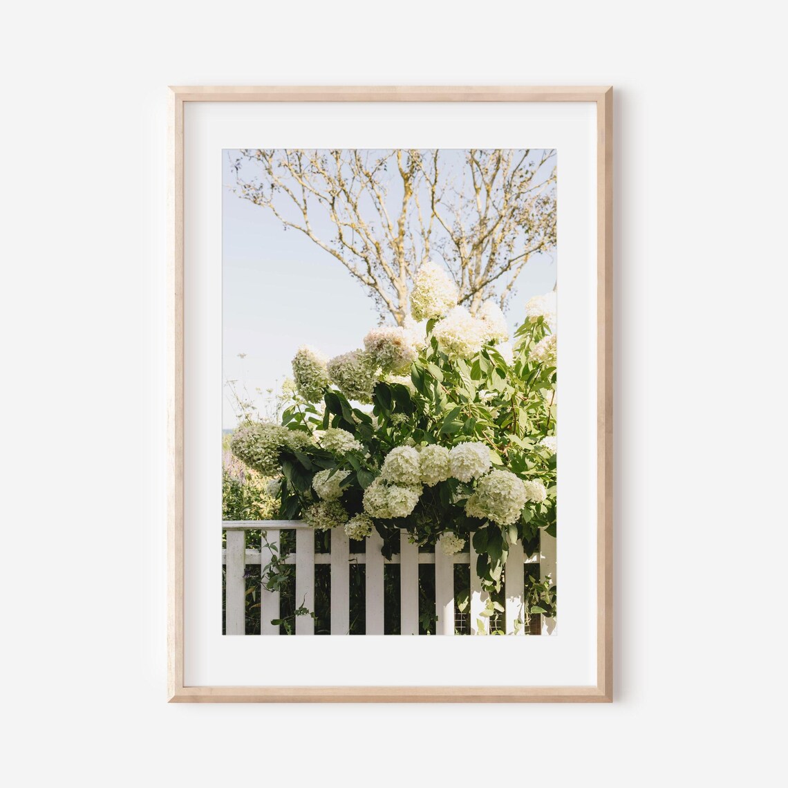 Nantucket Cape Cod New England Coastal Decor Art Print