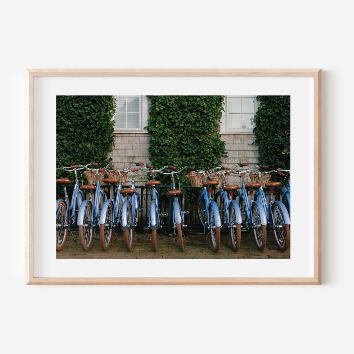 Blue Beach Cruiser Bicycles Lined Up by an Ivy Covered Wall Poster