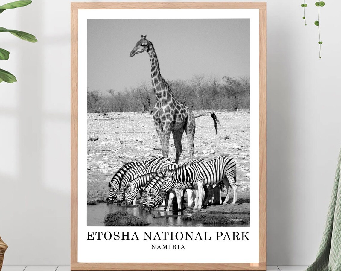Etosha National Park Namibia Travel Poster, Minimalist