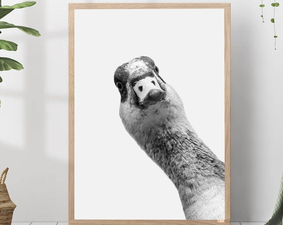 Duck Portrait Print Black And White Photo Nursery Farm Animal Wall Art Modern Minimalist Home Decor Poster Gift Lover