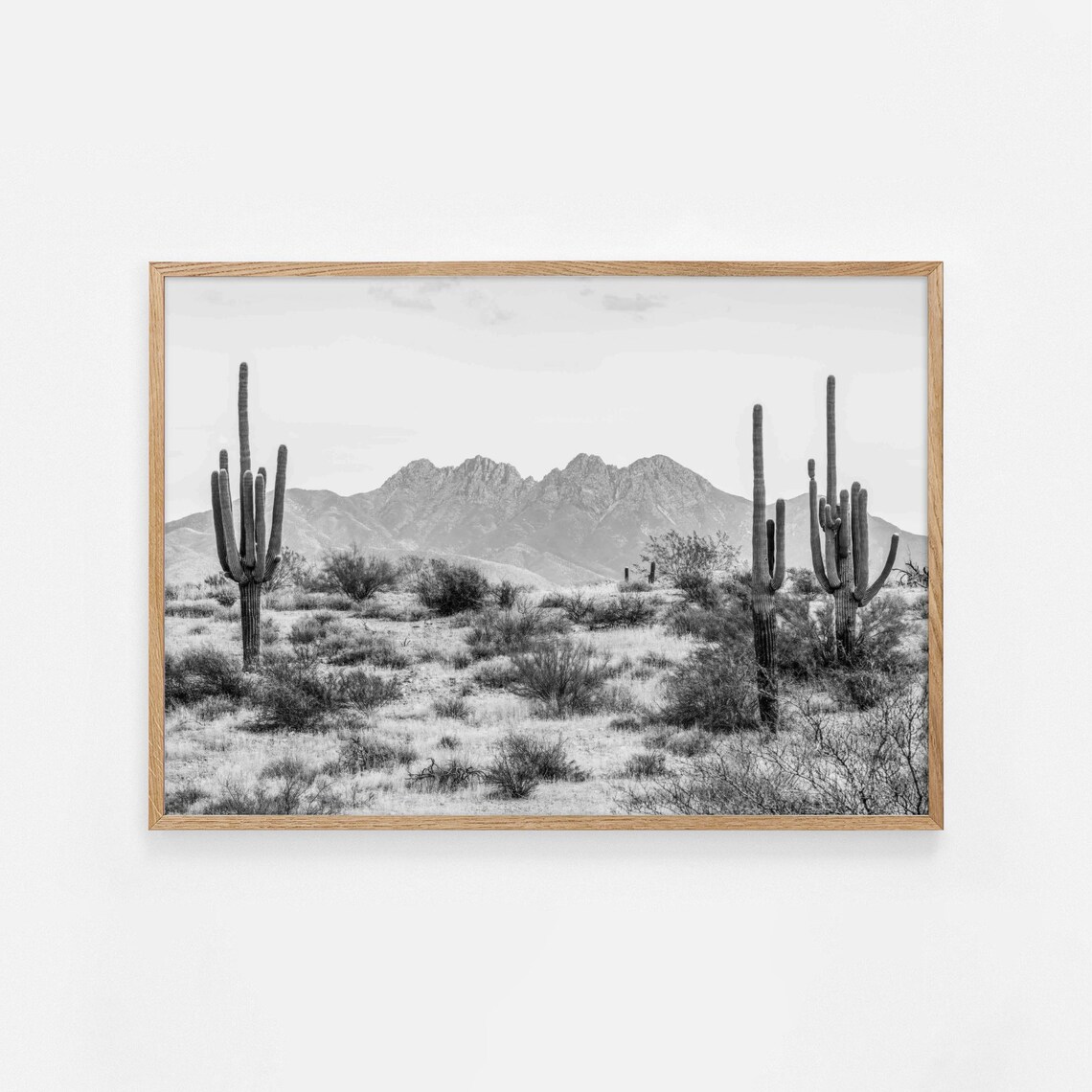 Saguaro Cactus Mountain Peaks Black And White Desert Photo Poster