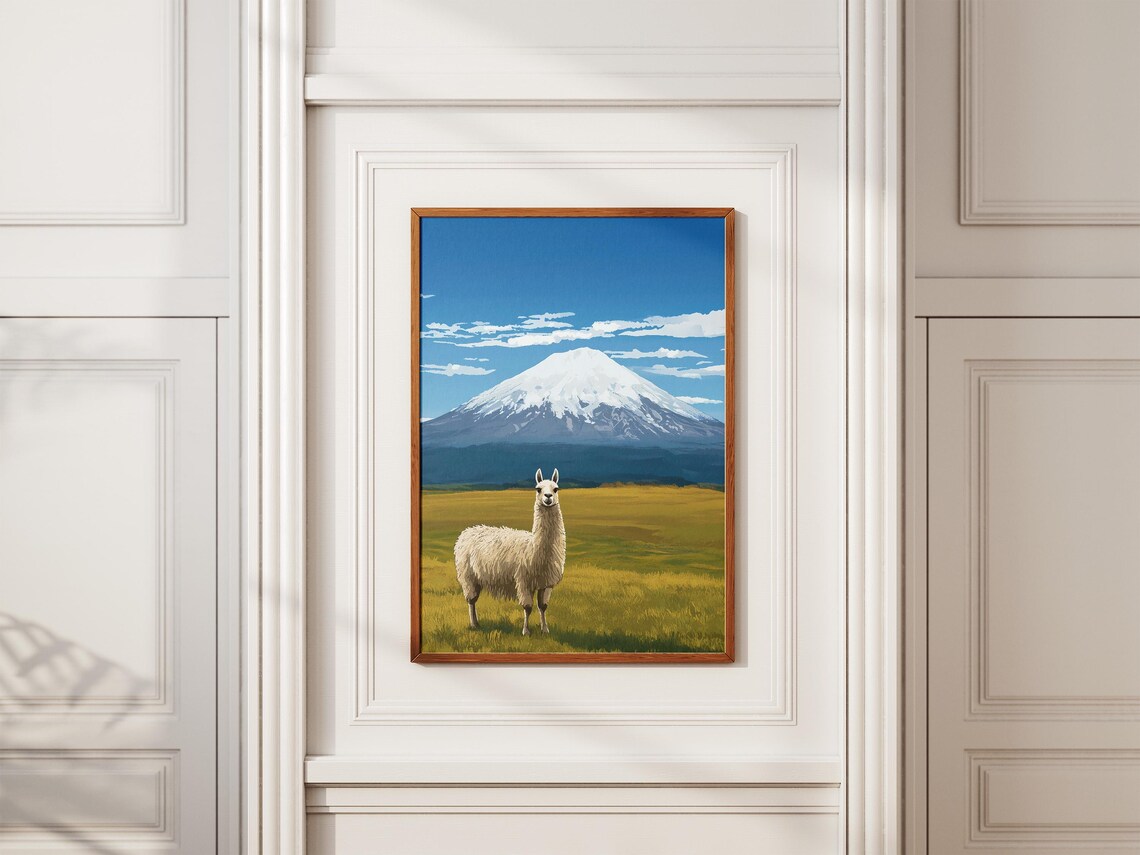 Alpaca In Meadow With Snowcapped Cotopaxi Mountain Andes Poster - Image 2