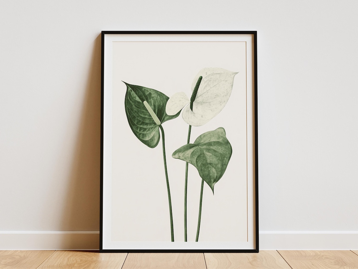 White Anthurium Flower Green Leaves Minimalist Botanical Art Poster