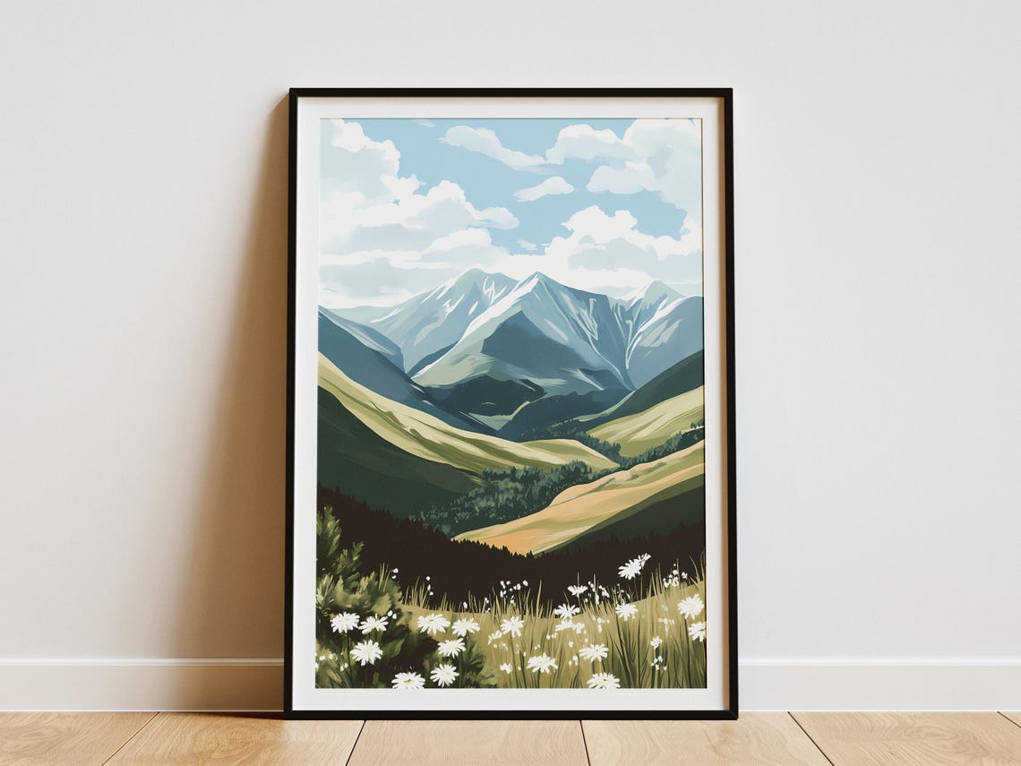 Snow Capped Mountain Valley With White Daisies Meadow Poster