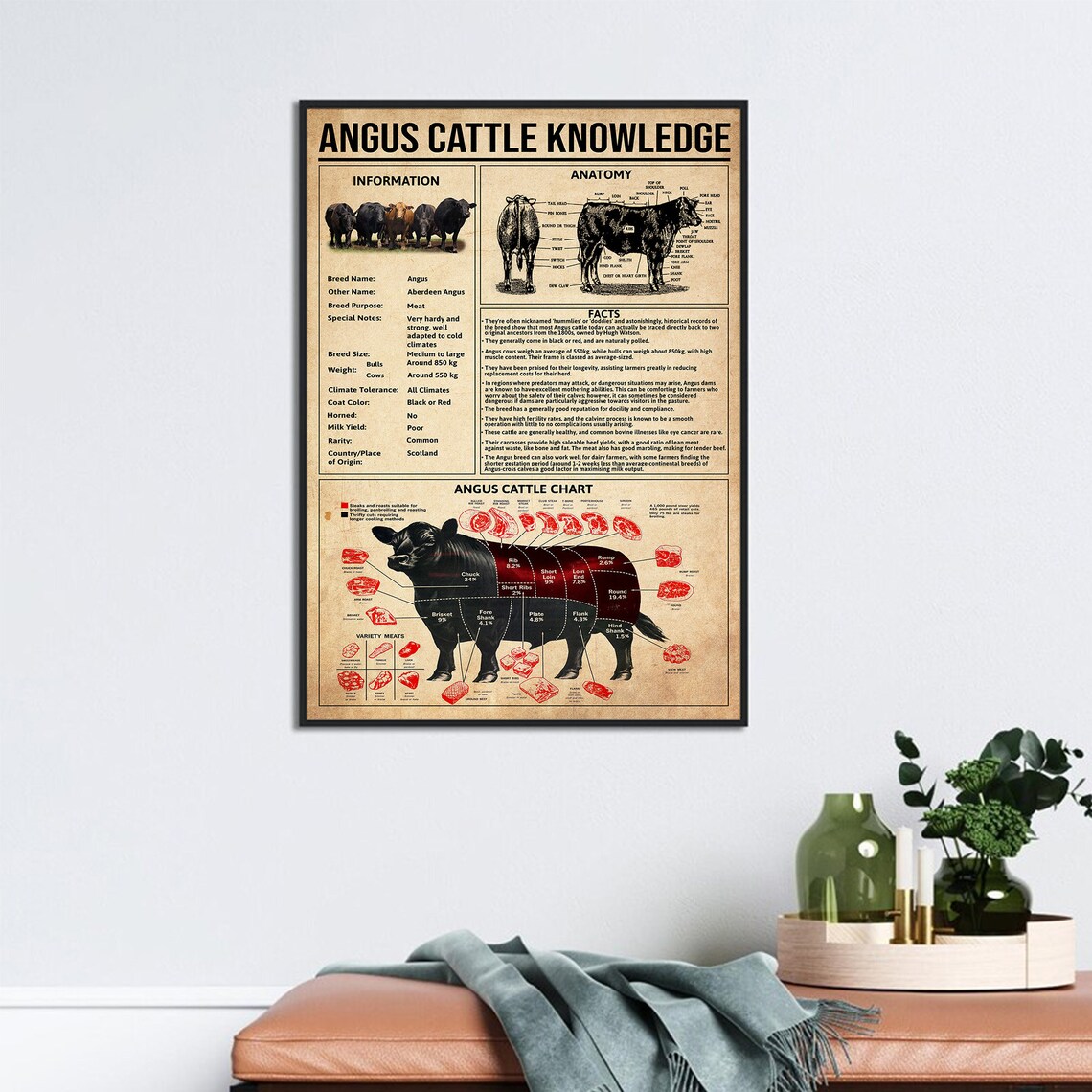 Angus Cattle Facts Poster, Meat Chart and Anatomy - Image 3