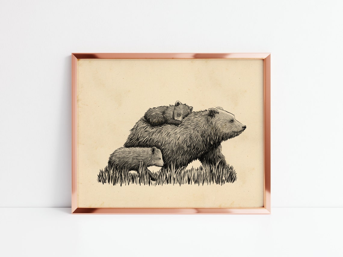 Mother Bear Walking with Two Cubs Pen and Ink Illustration Poster