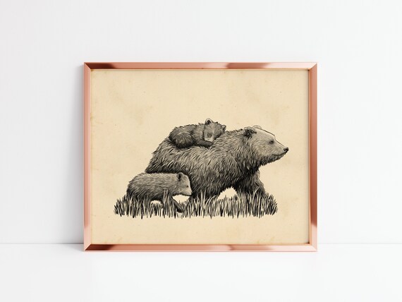 Mother Bear Walking with Two Cubs Pen and Ink Illustration Poster