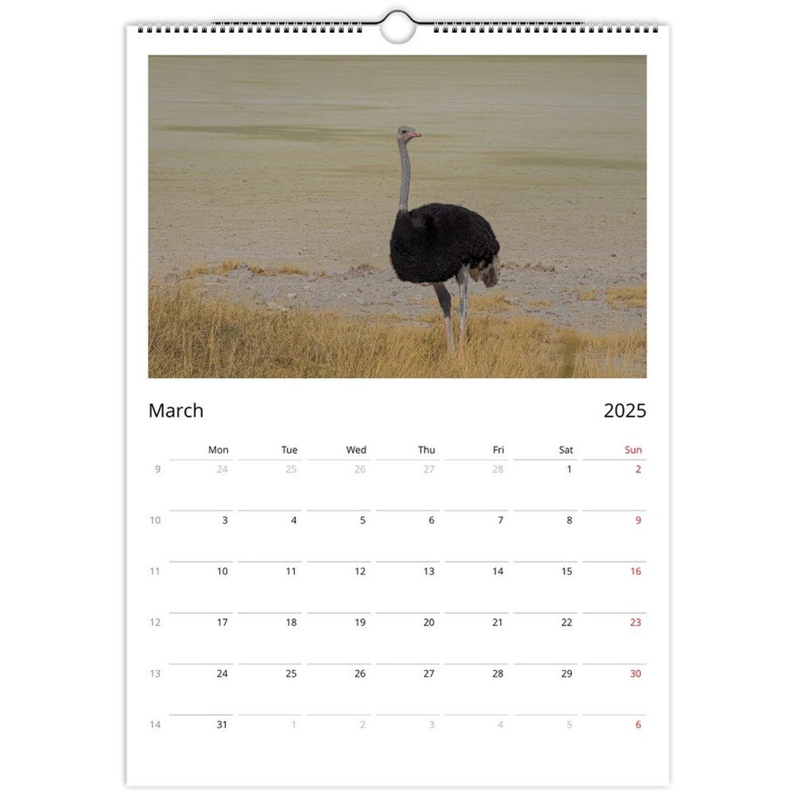 Namibia Giraffe Africa Impressions Wall Calendar Page Wall Art - Image 3