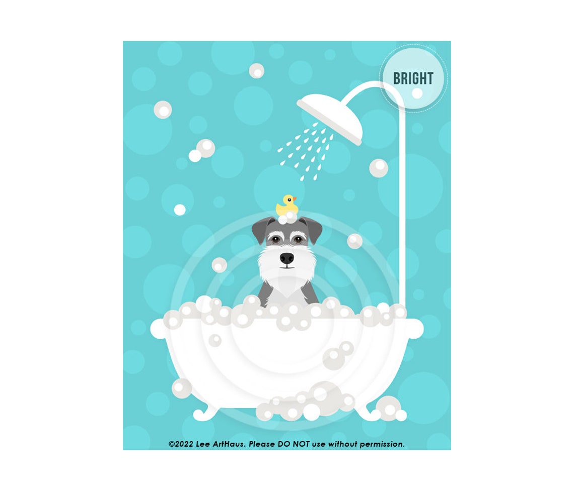 Schnauzer Bubble Bath Shower Rubber Ducky Bright Teal Bathroom Poster