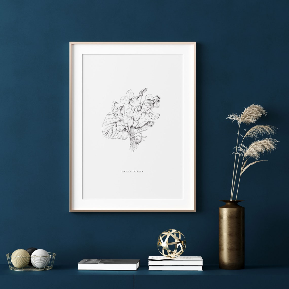 Viola Odorata Botanical Line Drawing Wild Violet Flower Poster