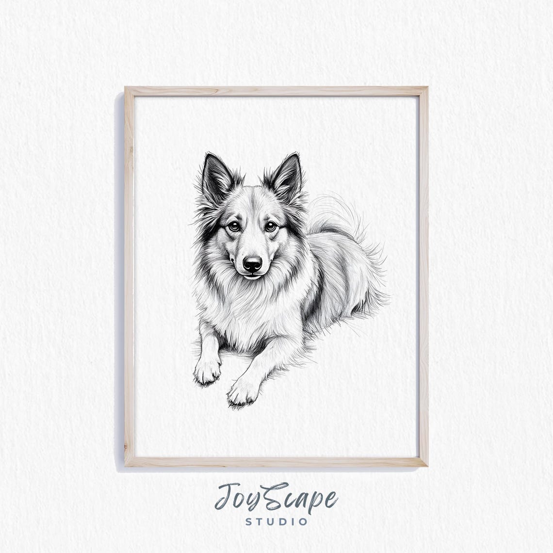 Shetland Sheepdog Portrait Black and White Sketch Dog Poster
