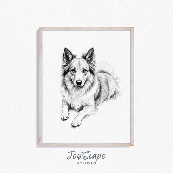 Shetland Sheepdog Portrait Black and White Sketch Dog Poster