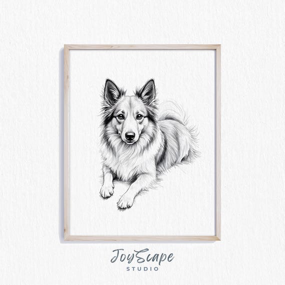 Shetland Sheepdog Sketch Rustic Dog Wall Art Vintage Pet Portrait Detailed Illustration Nursery Animal Decor