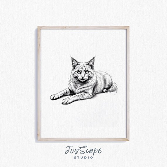 Long Haired Cat Pencil Sketch Black and White Detailed Feline Poster