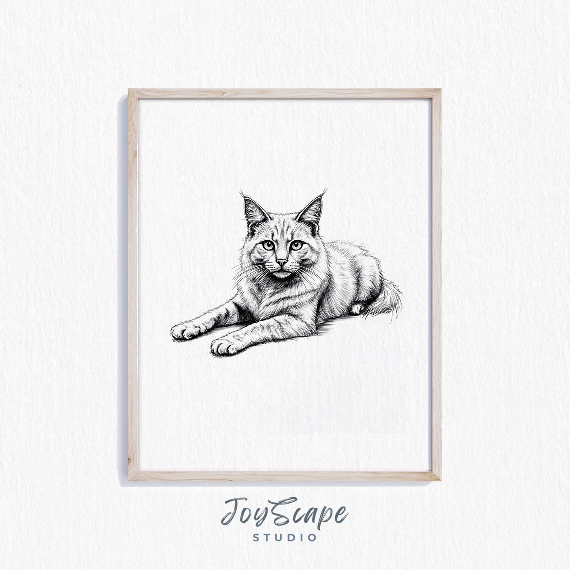 Long Haired Cat Pencil Sketch Black and White Detailed Feline Poster