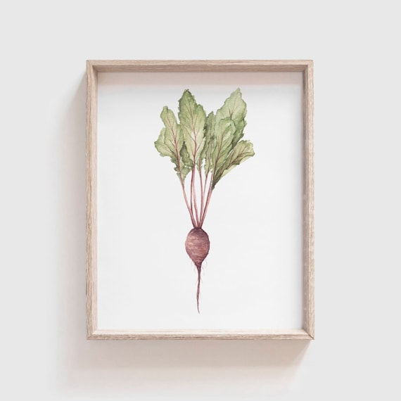 Beet Watercolor Art Print, Kitchen and Dining Decor