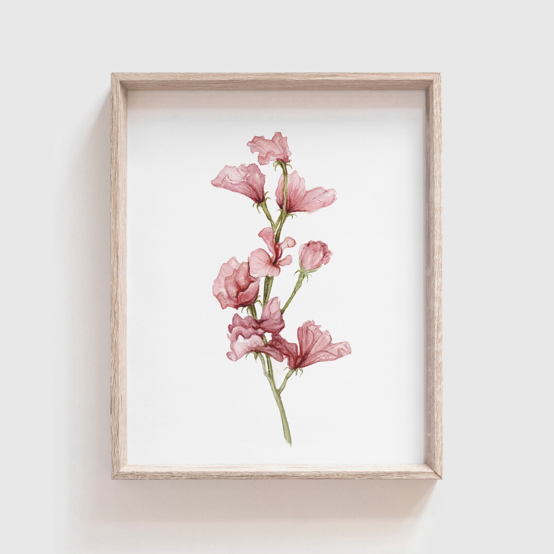 Sweet Pea Watercolor Flower Art Print, Botanical Decor