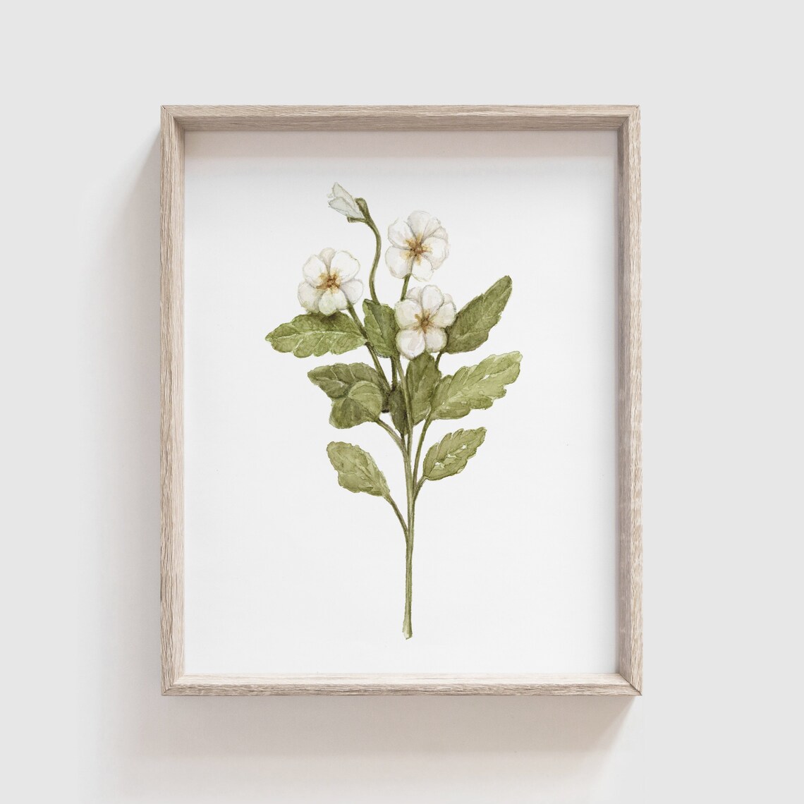 Primrose Flowers Watercolor Art Print, Home Decor