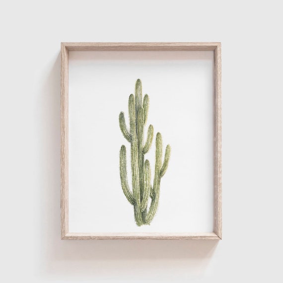 Spikey Cactus No. 4 Watercolor Art Print