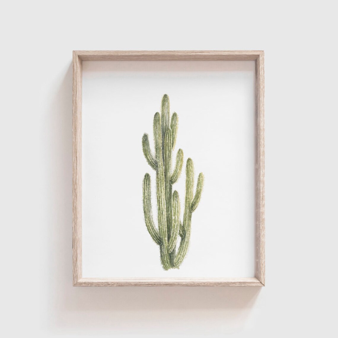 Spikey Cactus No. 4 Watercolor Art Print
