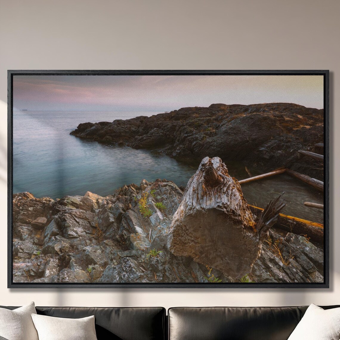 Rocky Coastline At Dusk With Weathered Driftwood Canadian Shore Poster