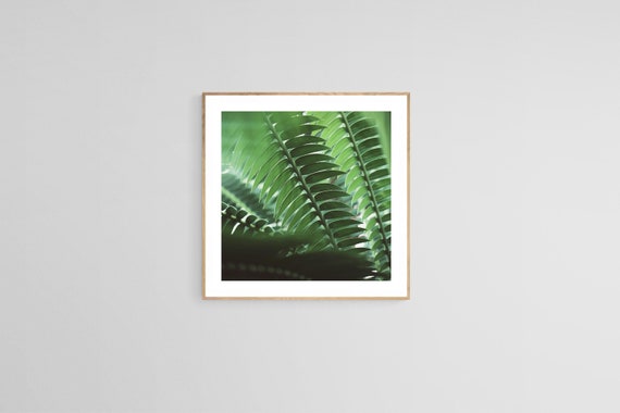 Palm Tree Print, The Green Light Tropical Decor