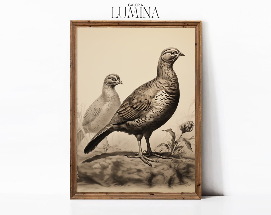 Quail Pencil Drawing, Vintage Neutral Bird Art Print