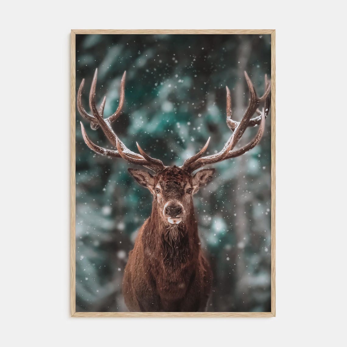 Red Deer Stag in Falling Snow Winter Wildlife Photography Poster