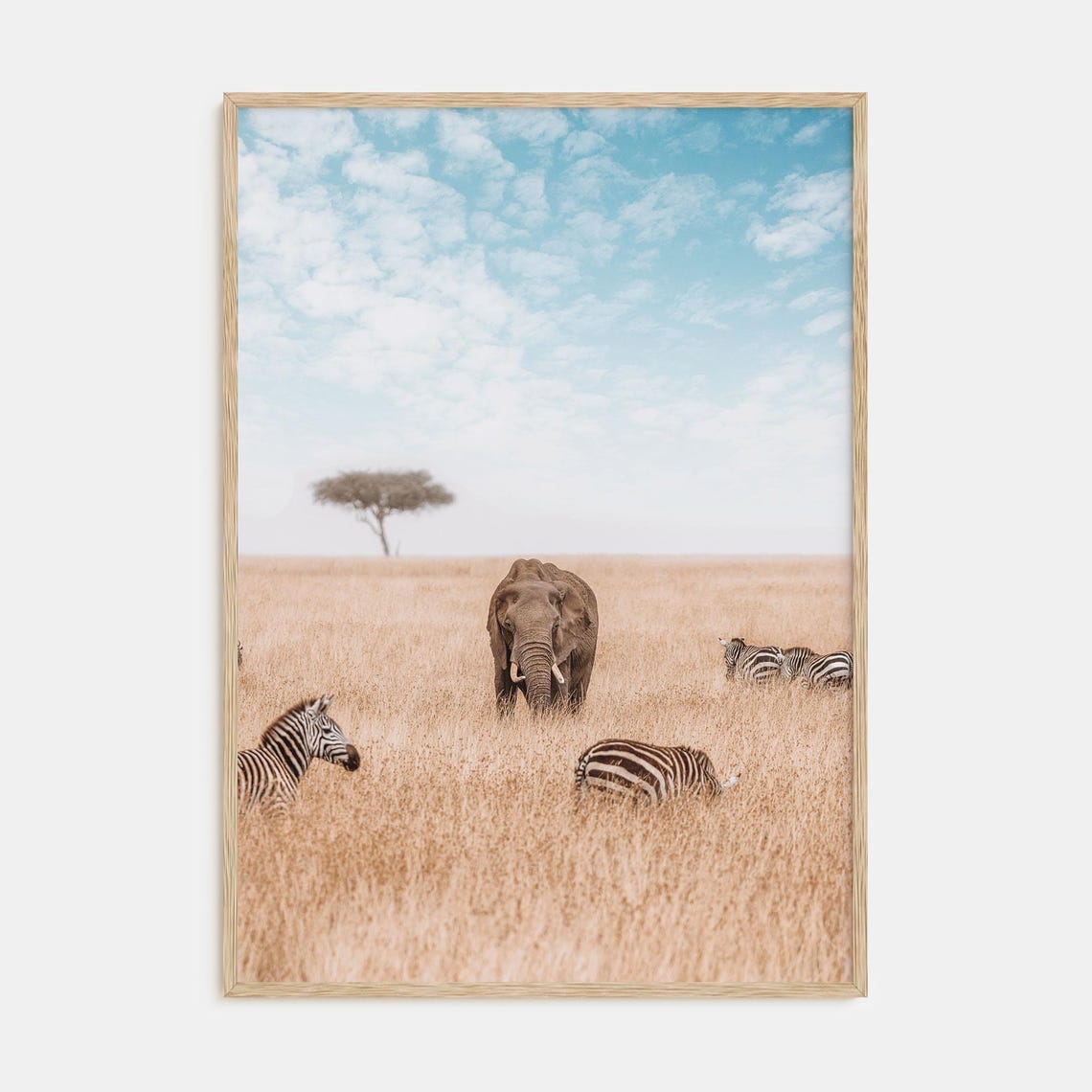 African Elephant and Zebras Savanna Grasslands Wildlife Poster