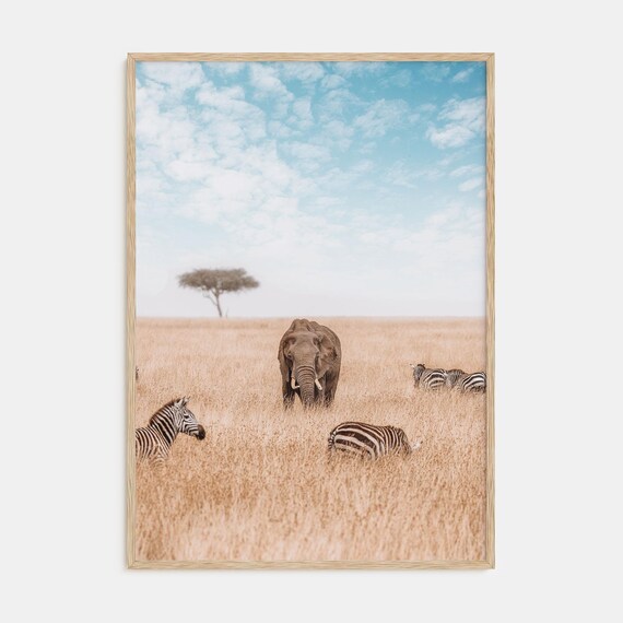 African Elephant and Zebras Savanna Grasslands Wildlife Poster
