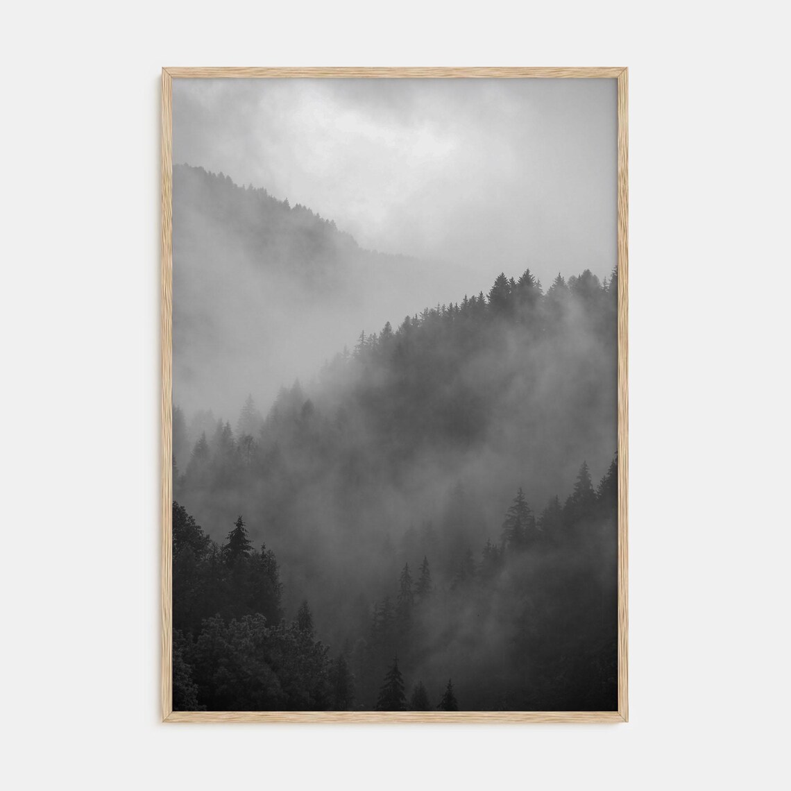 Pine Tree Forest, Black White Photography Art Print