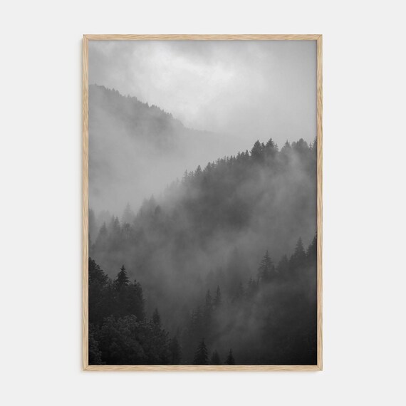 Pine Tree Forest, Black White Photography Art Print