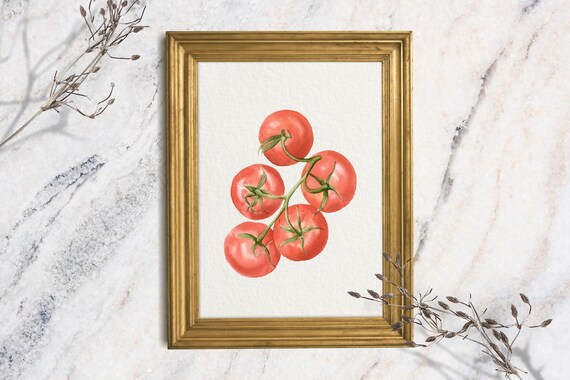 Cherry Tomatoes on Vine Watercolor Botanical Kitchen Vegetable Art Print Decor