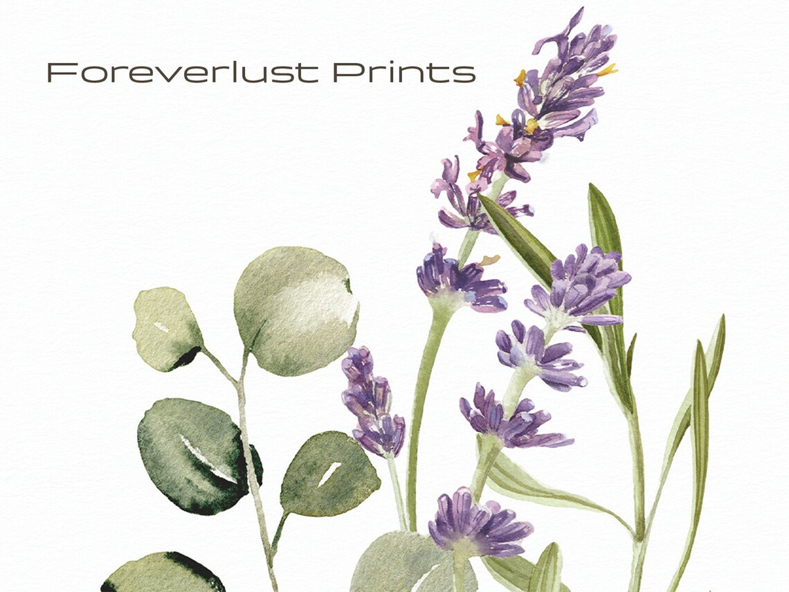 Lavender Sprig Eucalyptus Watercolor Purple Floral Minimalist Art Print - Image 2