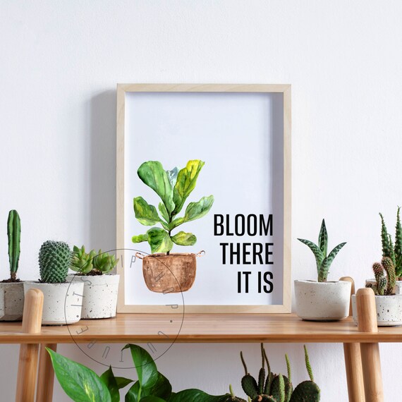 Bloom There It Is Watercolor Plant Pun Fiddle Leaf Fig Poster
