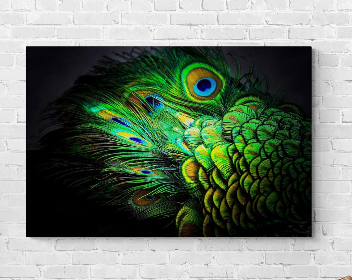 Emerald Peacock Feather Eyes Iridescent Plume Macro Detail Art Poster - Image 3