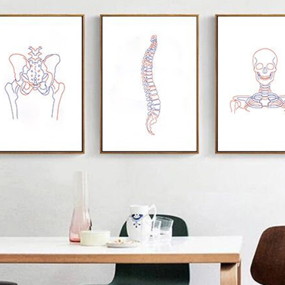 Anatomical Skeleton One Line Art Set Pelvis Spine Skull Medical Poster