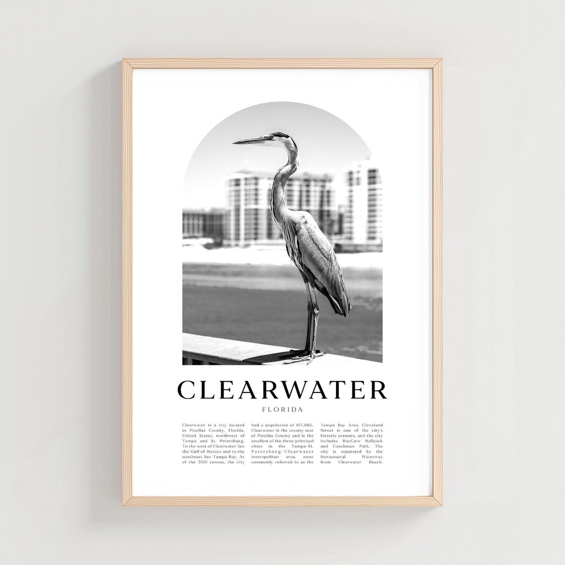 Clearwater Florida Great Blue Heron Black and White Photo Poster