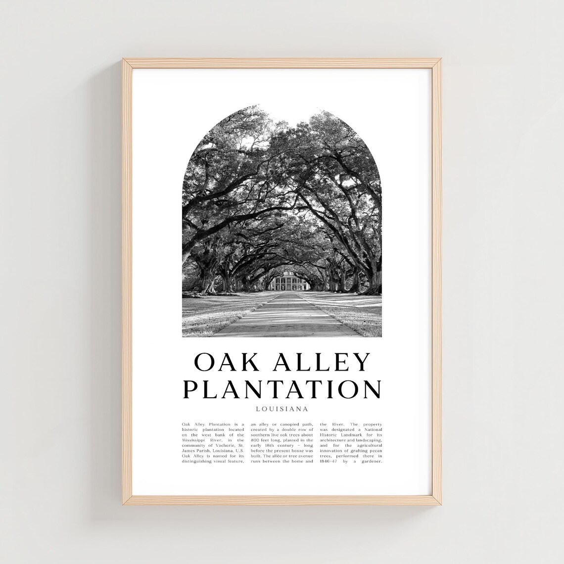 Oak Alley Plantation Travel Poster, Louisiana Landscape