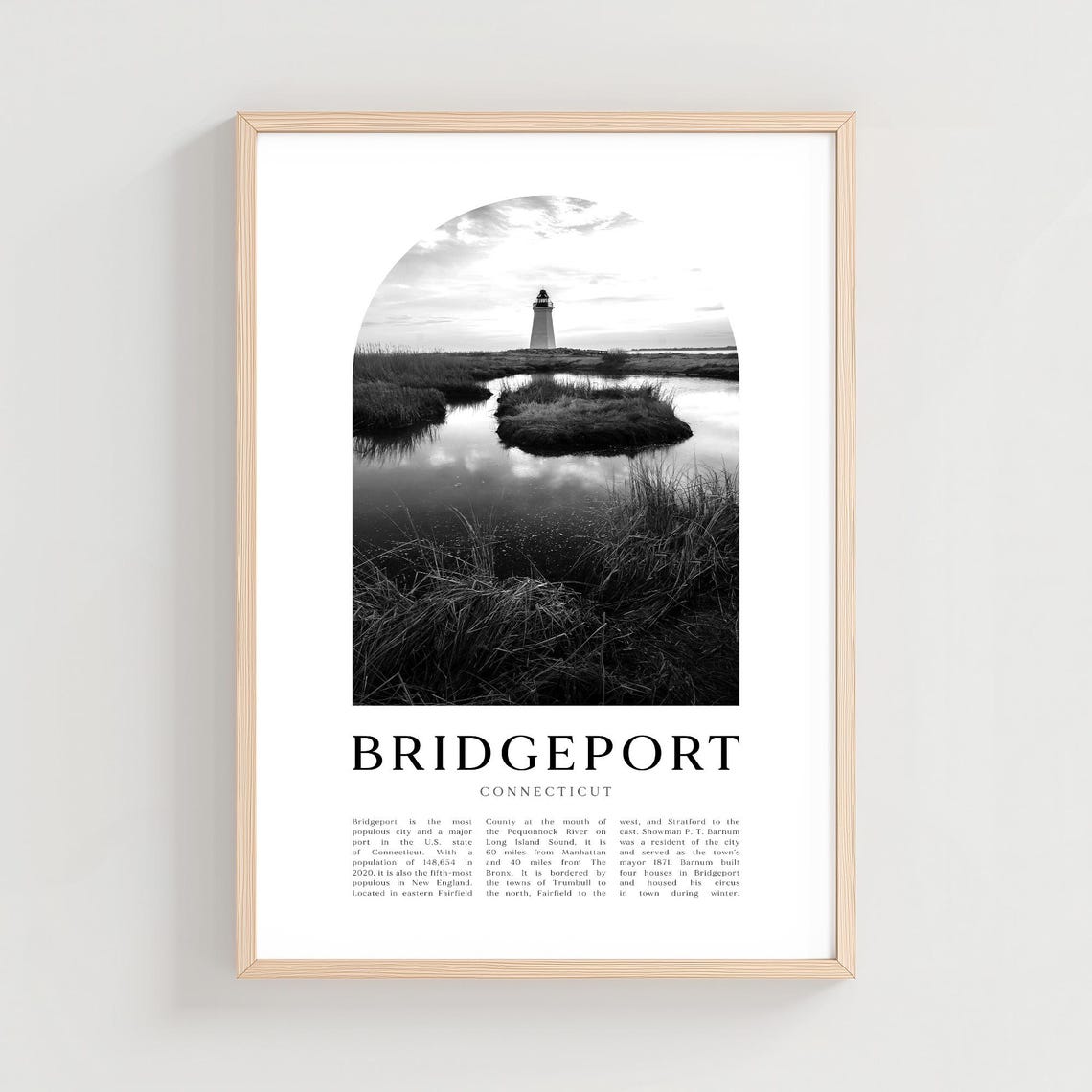 Bridgeport Connecticut Lighthouse Marsh Photo Art Travel Poster