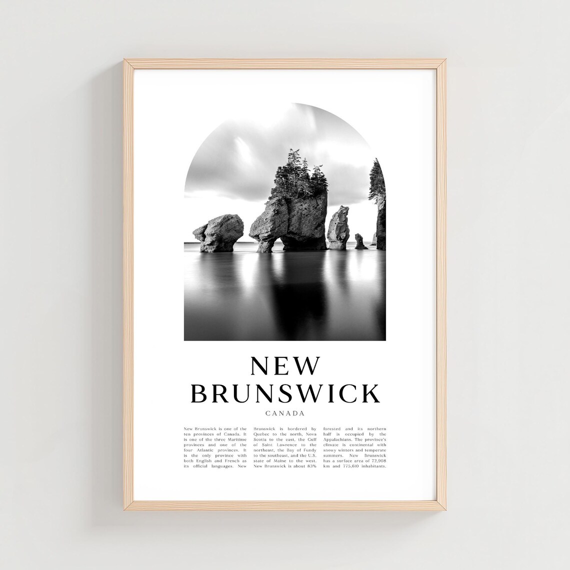 New Brunswick Canada Hopewell Rocks Black and White Coastal Photo Poster