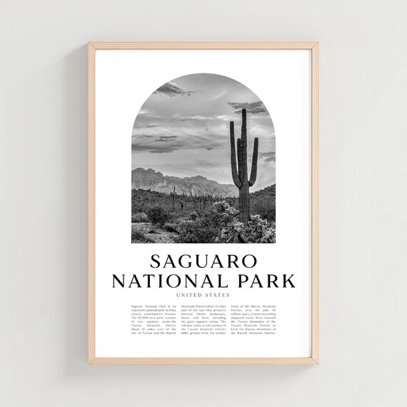 Saguaro National Park Giant Cactus Desert Sunset Black White Travel Poster