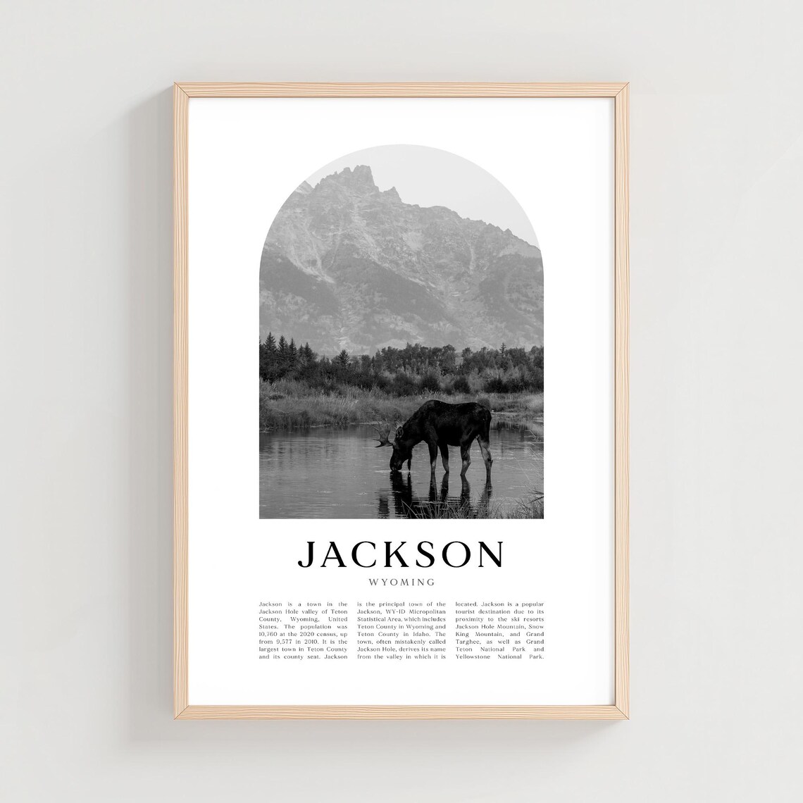 Jackson Wyoming Moose at Grand Teton Lake Wildlife Photo Poster