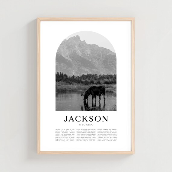 Jackson Wyoming Moose at Grand Teton Lake Wildlife Photo Poster