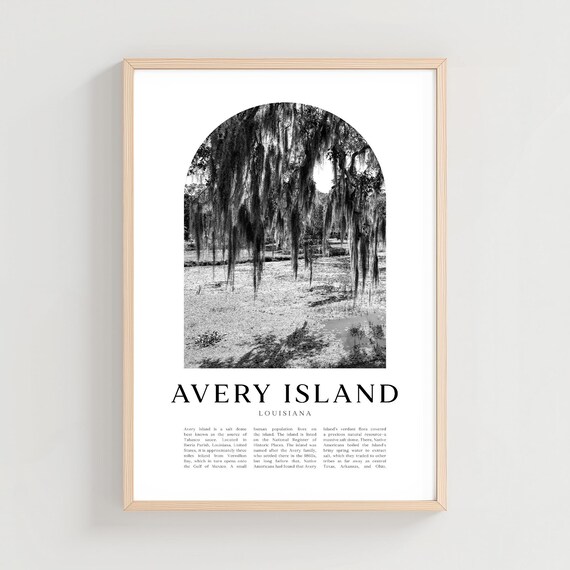 Avery Island Louisiana Spanish Moss Oaks Black White Photo Poster