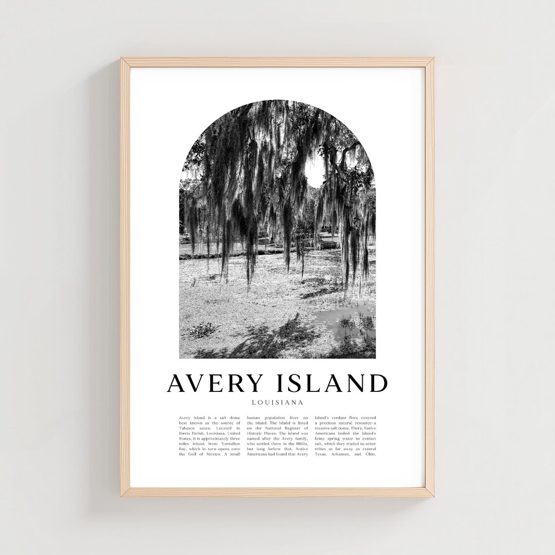 Avery Island Louisiana Spanish Moss Oaks Black White Photo Poster