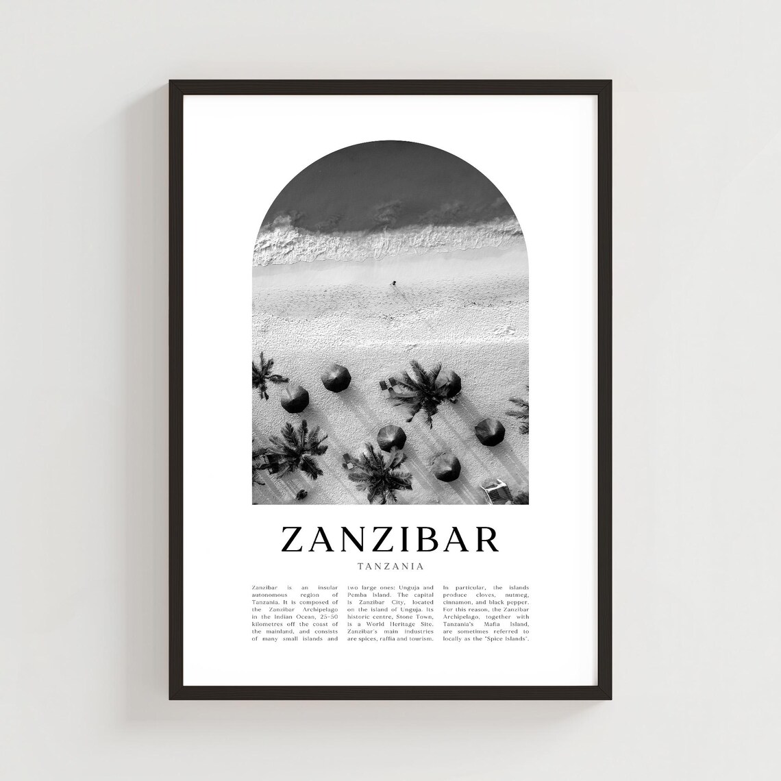 Zanzibar Tanzania Aerial Beach Palm Trees Black and White Poster