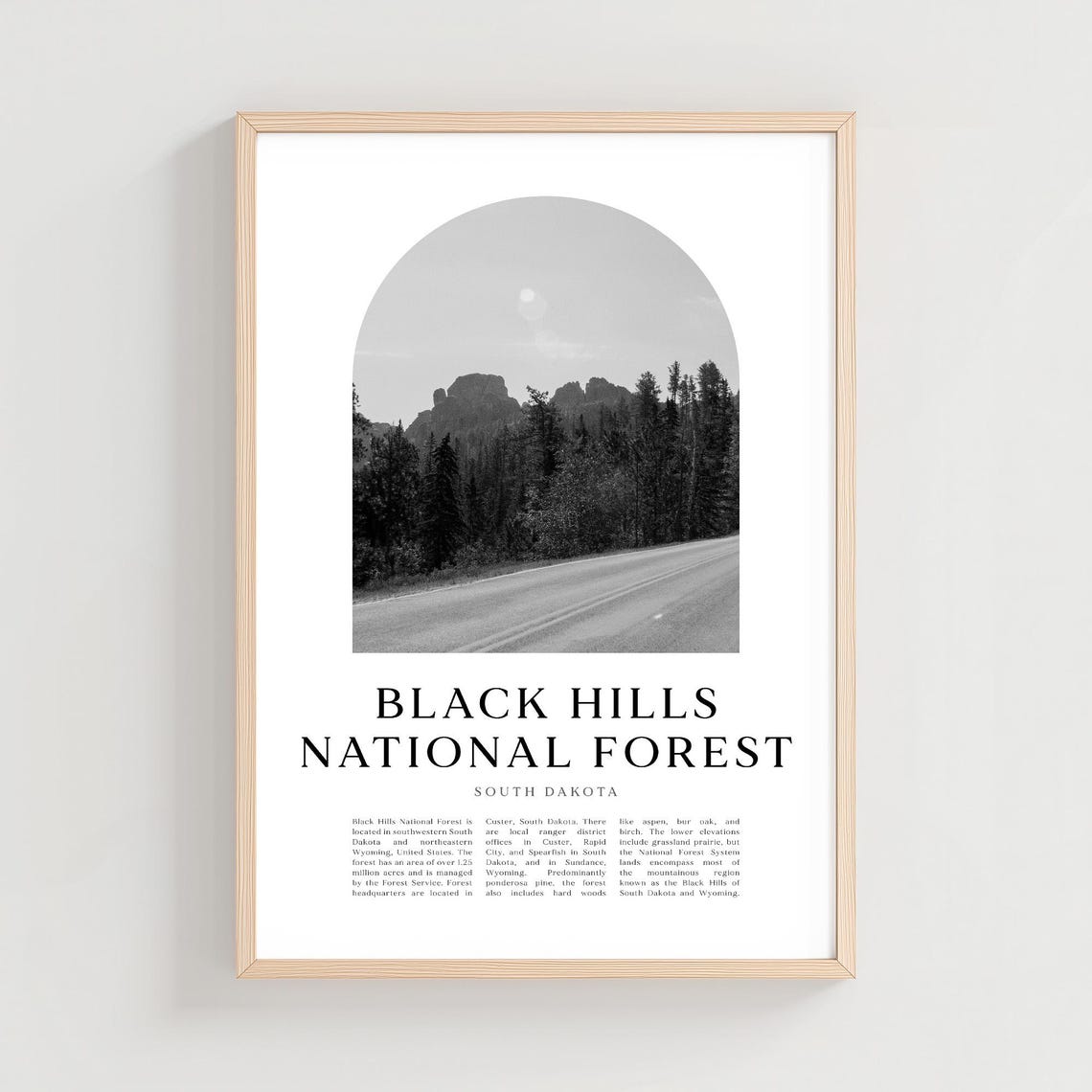 Black Hills National Forest South Dakota Road Minimalist Photo Poster